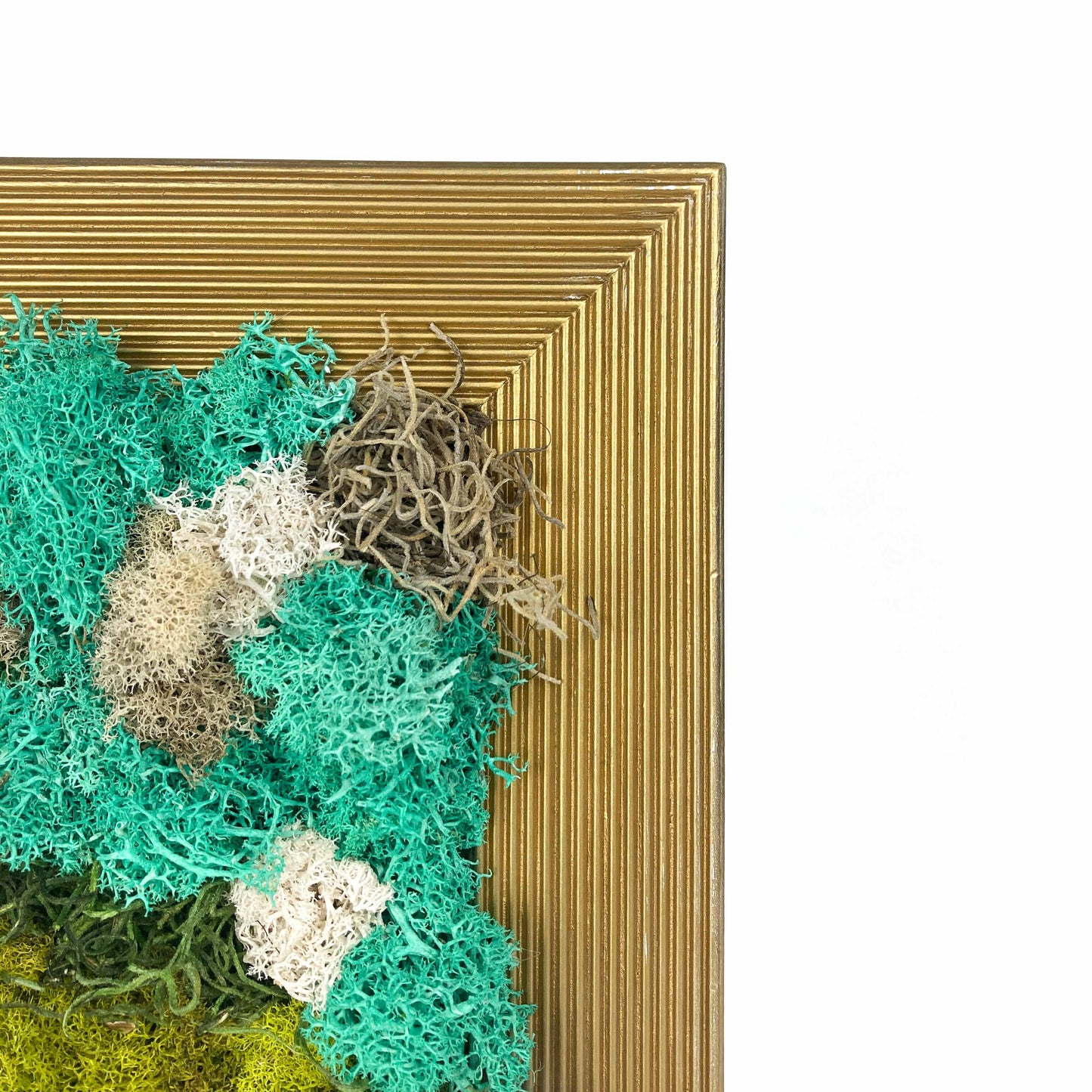 Close-up of framed artwork with preserved moss in various colors and textures, set in a gold frame.