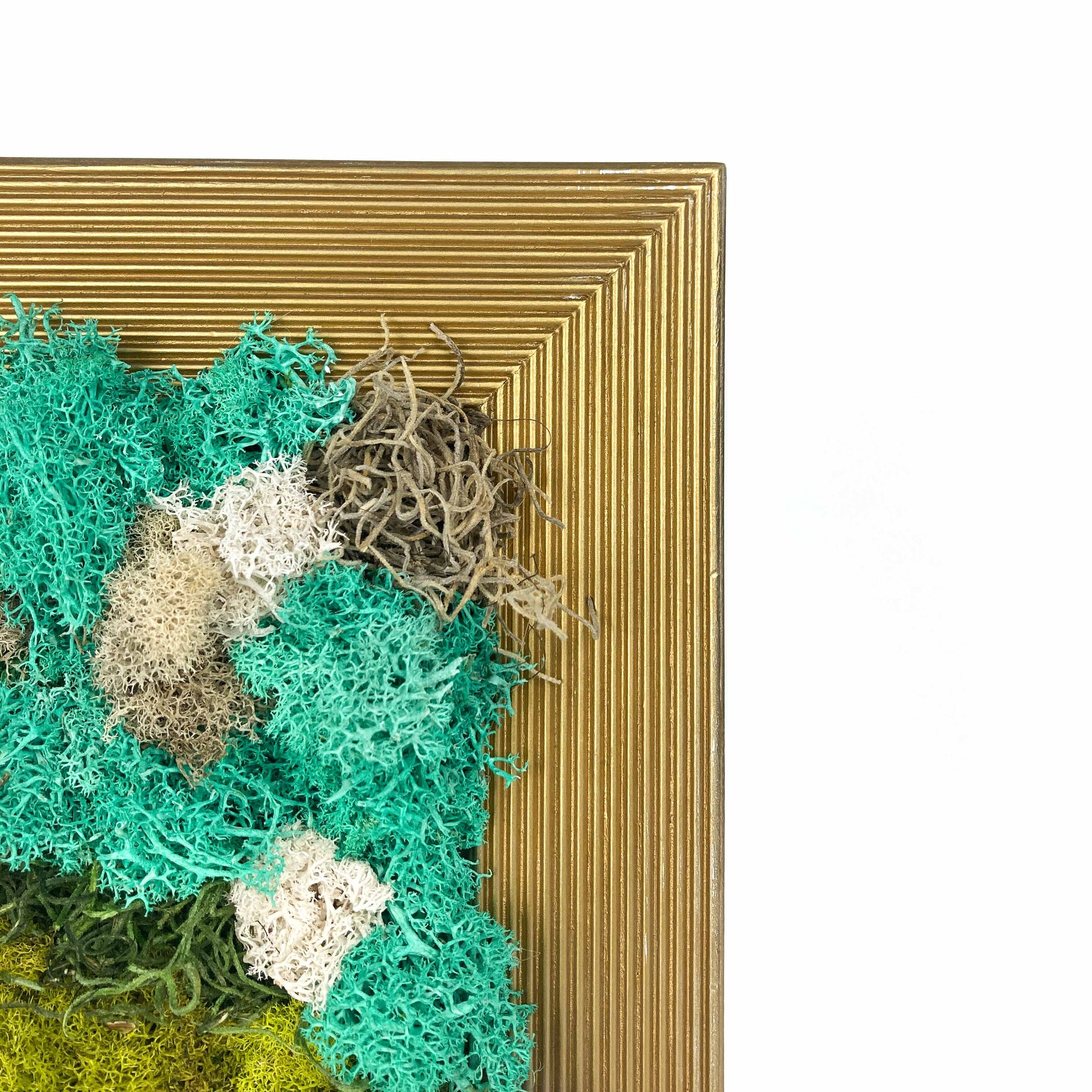 Close-up of framed artwork with preserved moss in various colors and textures, set in a gold frame.