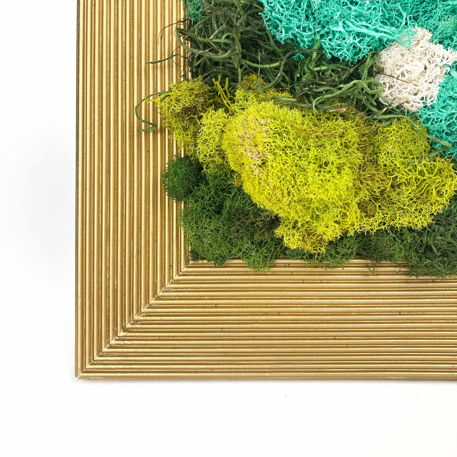 Close-up of framed artwork with preserved moss in various colors and textures, set in a gold frame.