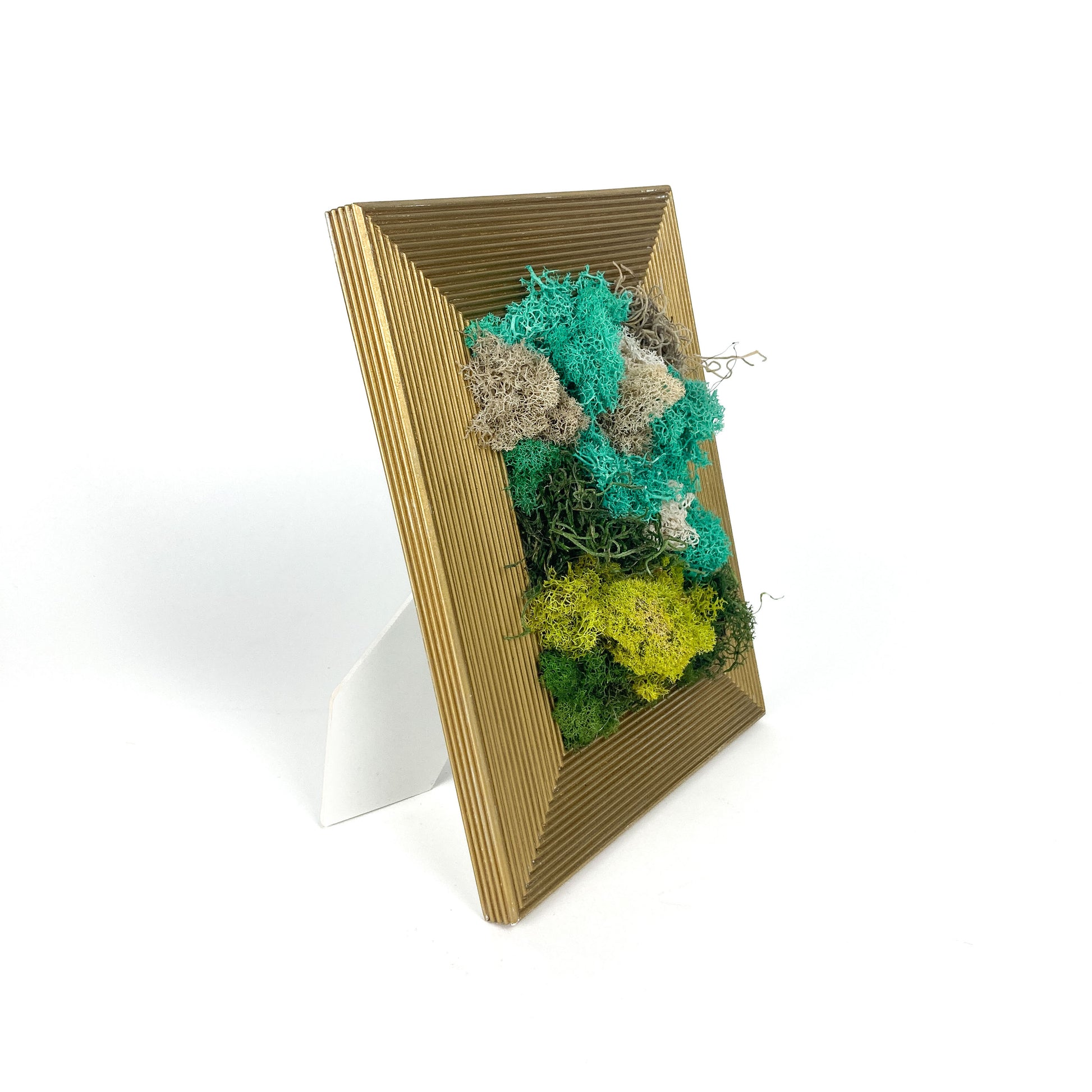 Framed artwork with preserved moss in various colors and textures, propped up on a stand, set in a gold frame.