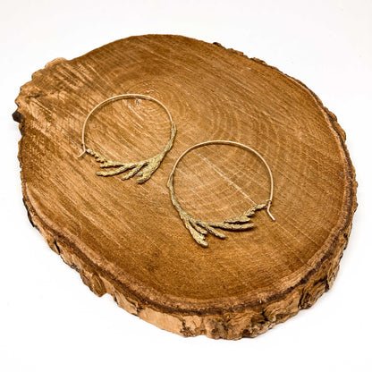 Sacred Cedar Hoops in Bronze