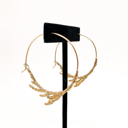 Sacred Cedar Hoops in Bronze