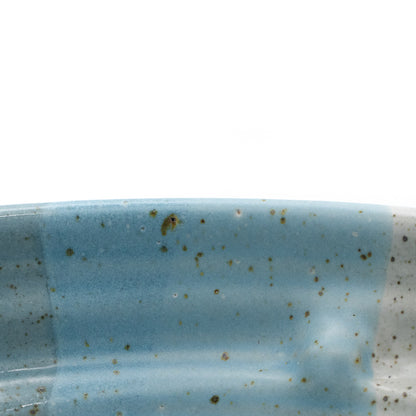 White and Blue Speckled Bowl