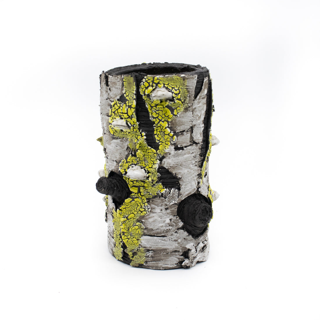 I Lichen You Alot Ceramic Vase