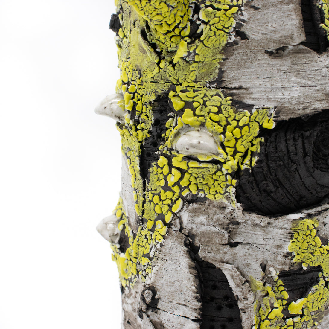 I Lichen You Alot Ceramic Vase