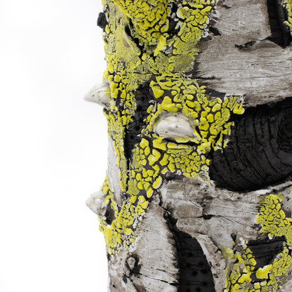 I Lichen You Alot Ceramic Vase