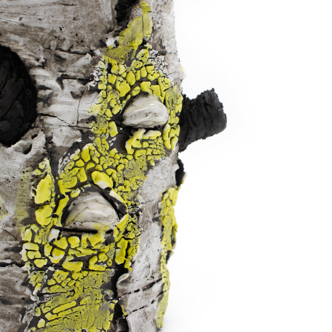 I Lichen You Alot Ceramic Vase