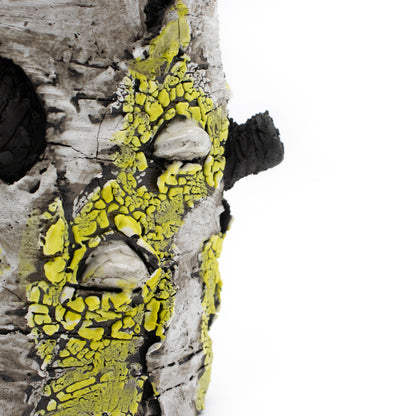 I Lichen You Alot Ceramic Vase