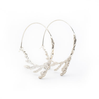 Sacred Cedar Hoops in Silver