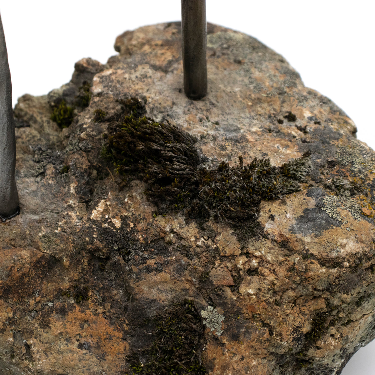 Cranes Sculpture on Rock