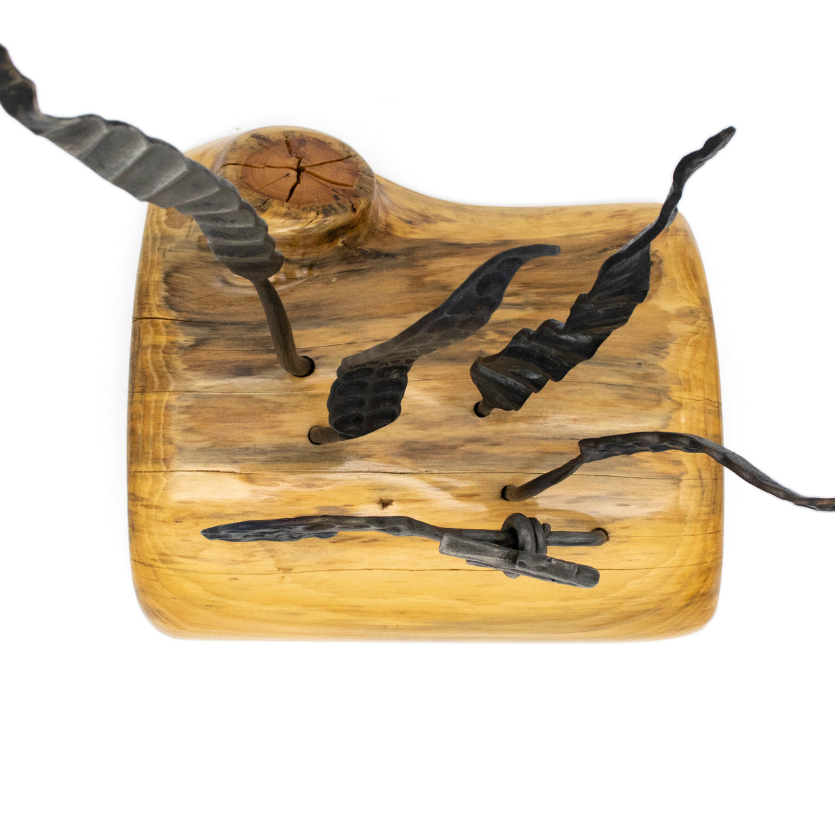 Seaweed and Seahorse Sculpture on Wood