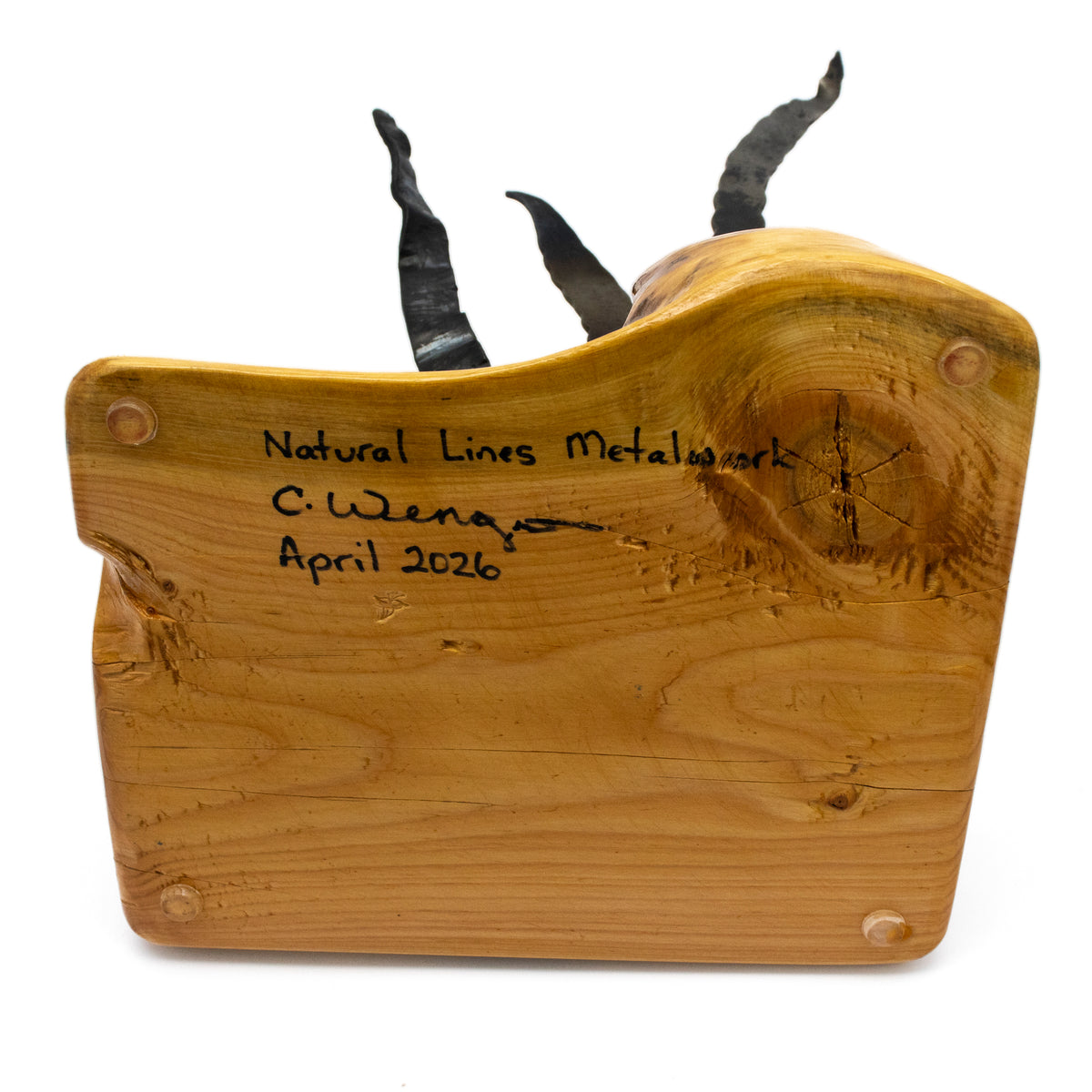 Seaweed and Seahorse Sculpture on Wood