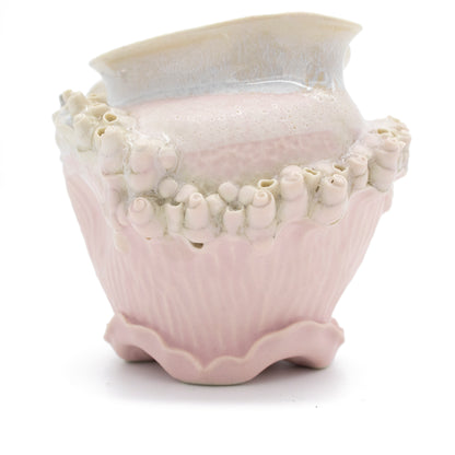 Pitcher in Rose with White Gold