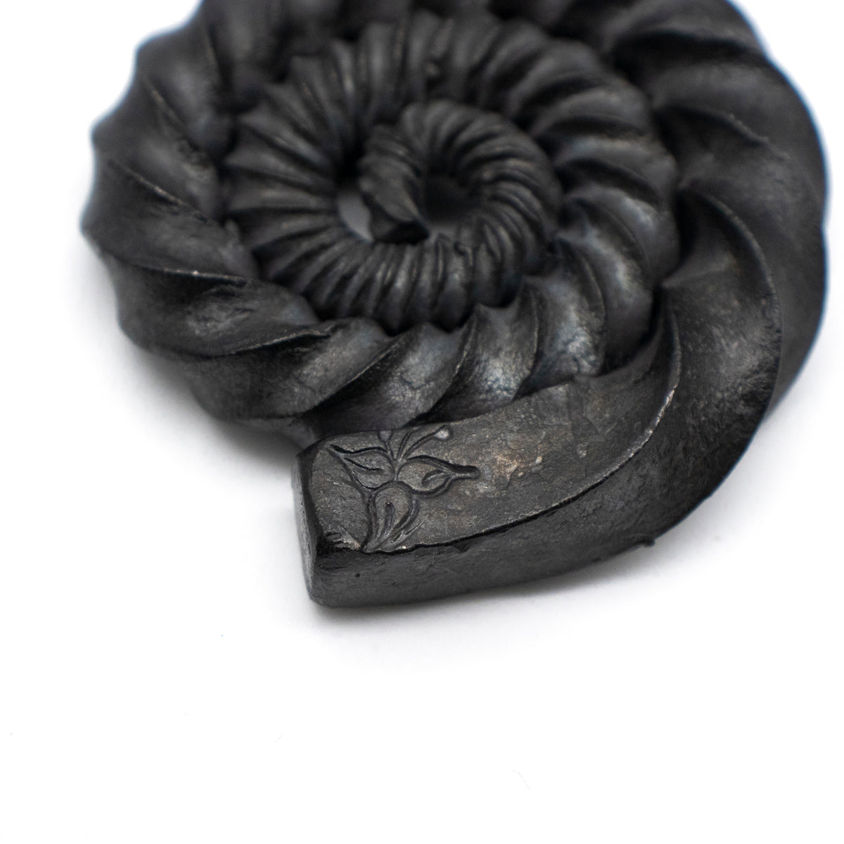 Ammonites