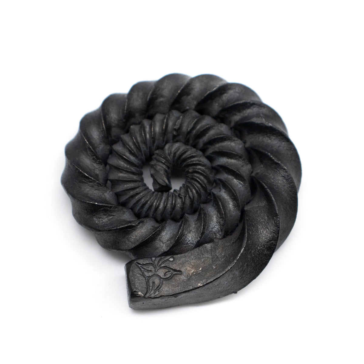 Ammonites