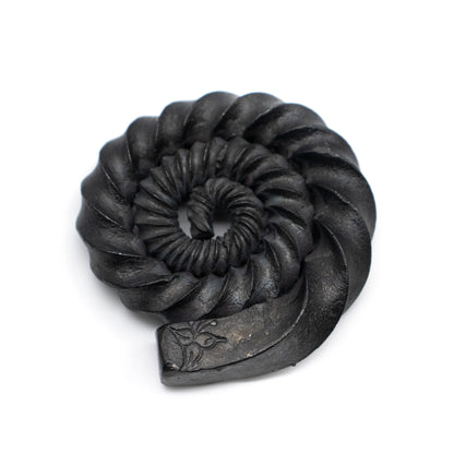 Ammonites