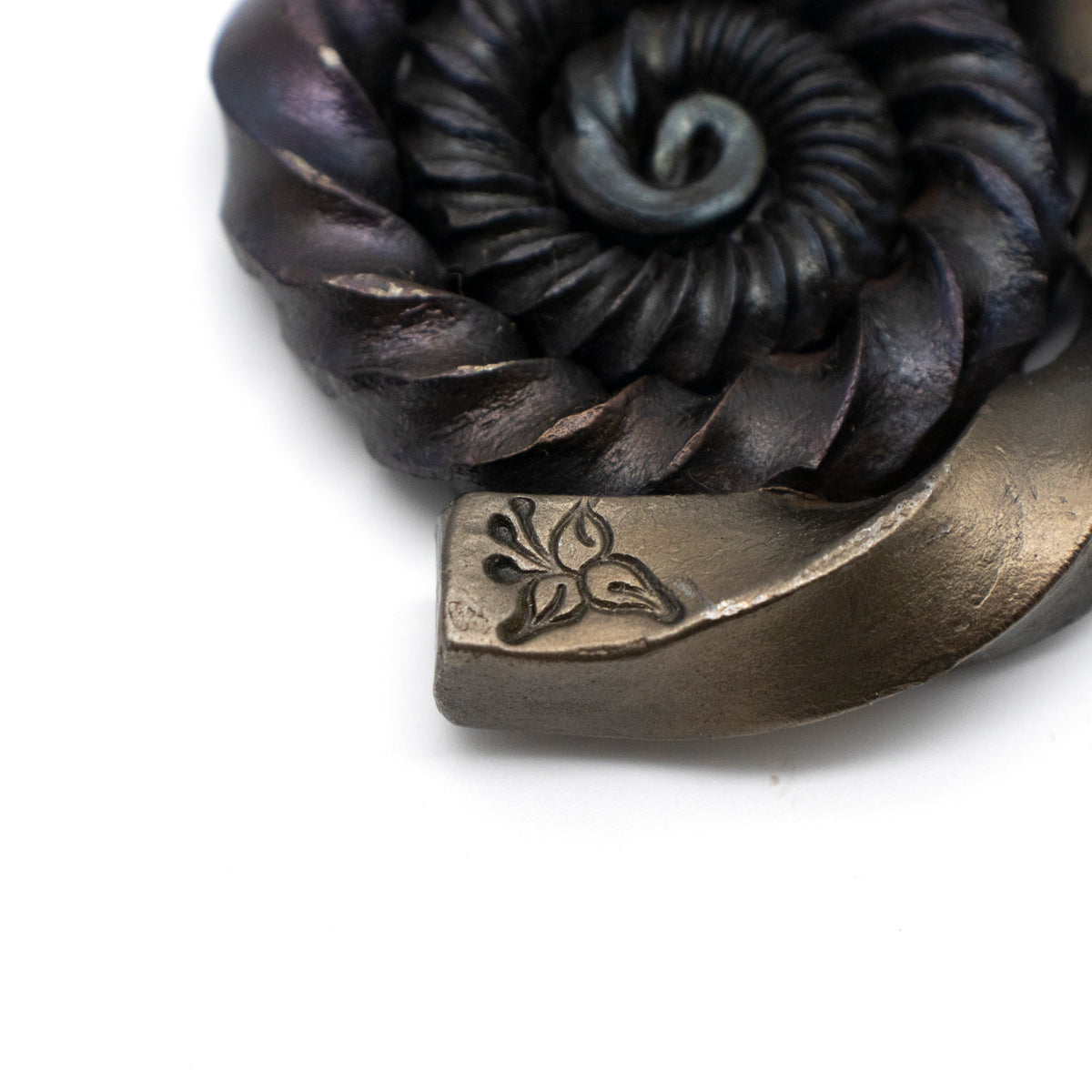 Ammonites