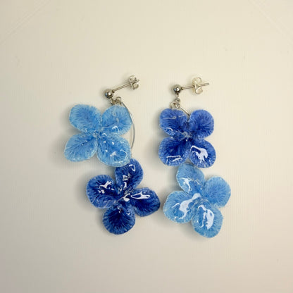 Blue Hydrangea