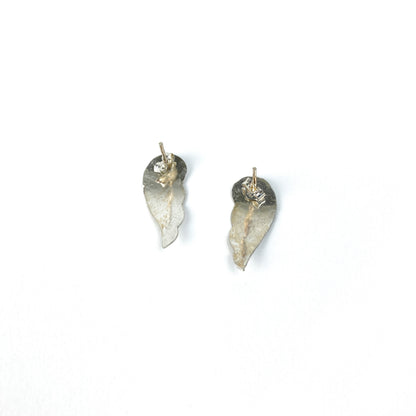 Wing Studs