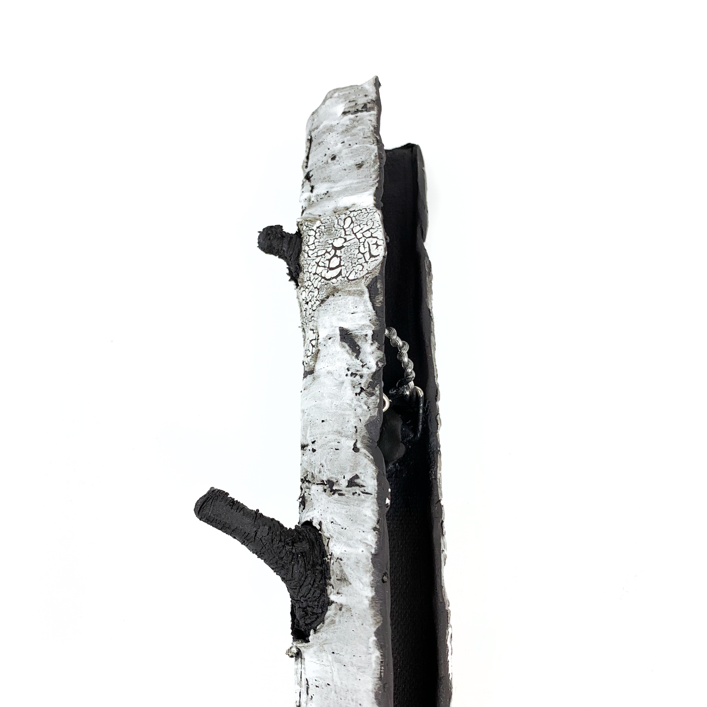 A birch bark textured wall hanging with a protruding black branch and a deep crevice.
