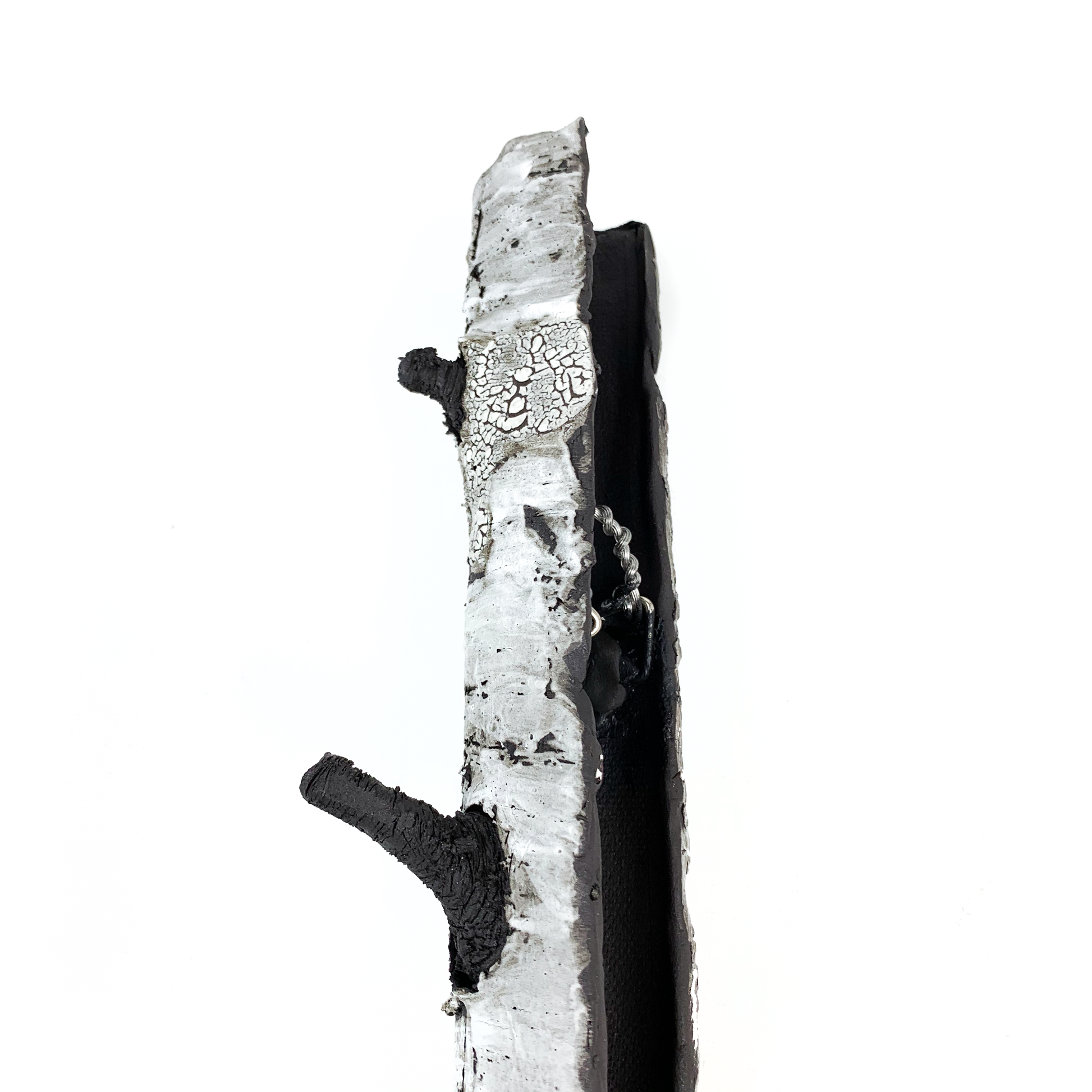 A birch bark textured wall hanging with a protruding black branch and a deep crevice.